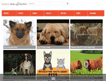 Tablet Screenshot of dailydognews.com